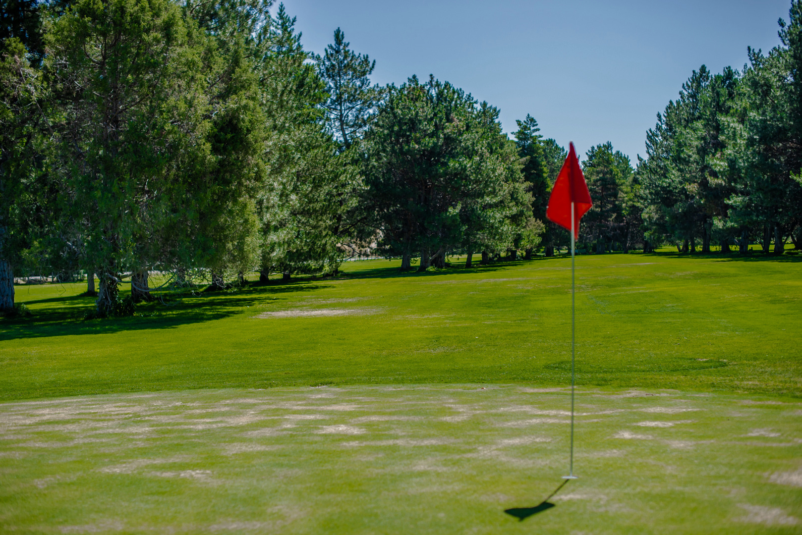 Club and cart rentals